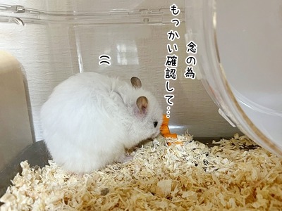 s-IMG_2232