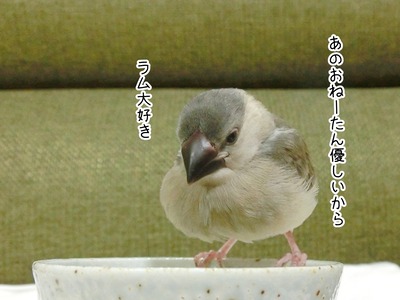 CIMG8166