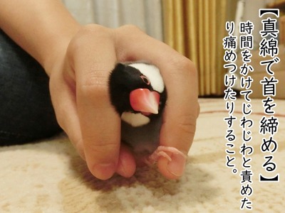 CIMG6079
