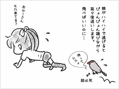 ブンチョ日誌