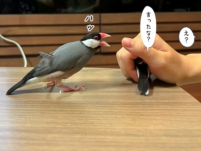 14