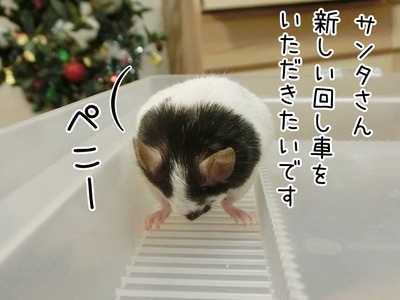 s-CIMG8586