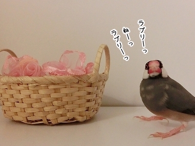 ブンチョ日誌