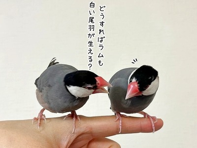 s-IMG_9759