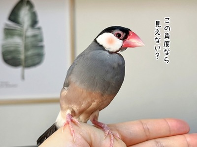 s-IMG_1064
