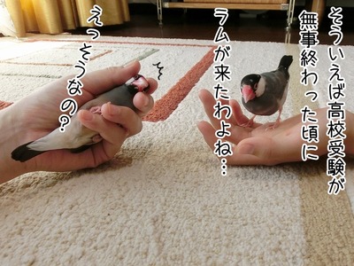 s-CIMG0916