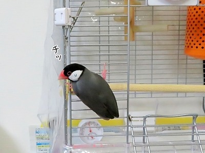 s-IMG_2395