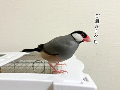 s-IMG_8734