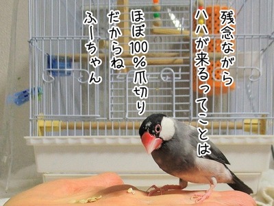 s-IMG_6434