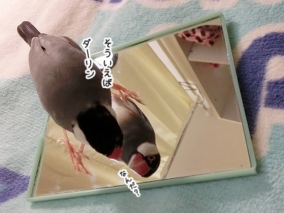 ブンチョ日誌