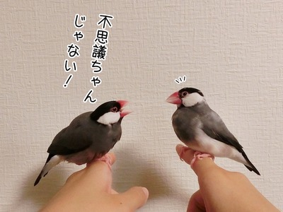 s-CIMG3267