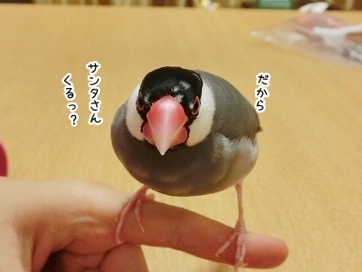 ブンチョ日誌