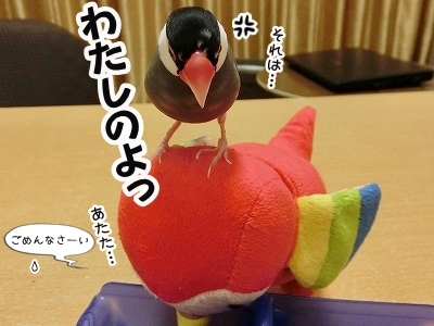 ブンチョ日誌