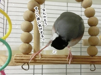 ブンチョ日誌