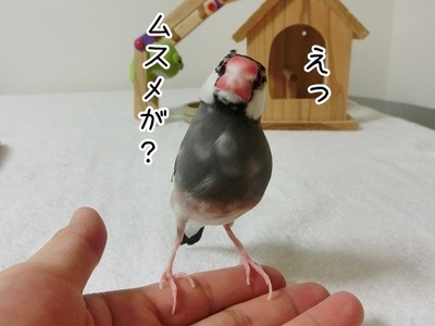 s-CIMG9337