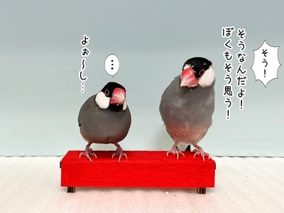 ３