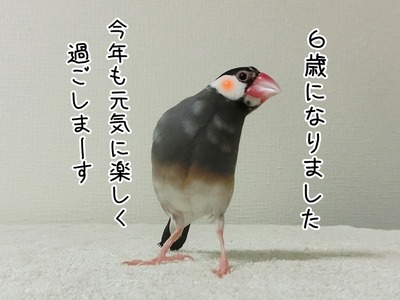 s-CIMG5486