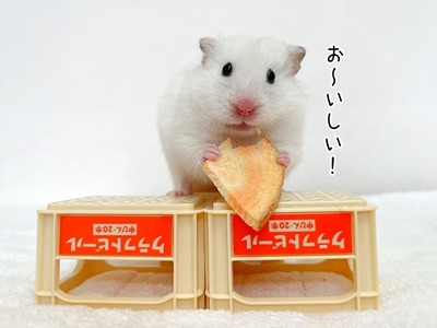 s-IMG_9925