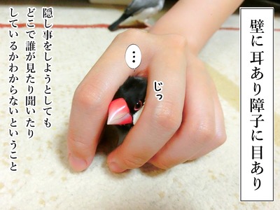 s-CIMG5609