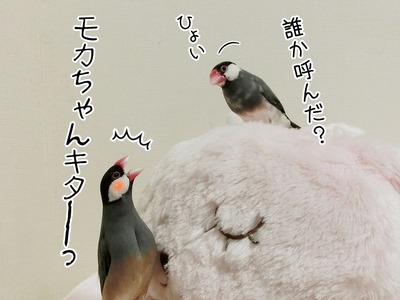 s-CIMG8986
