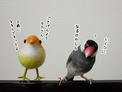 ブンチョ日誌