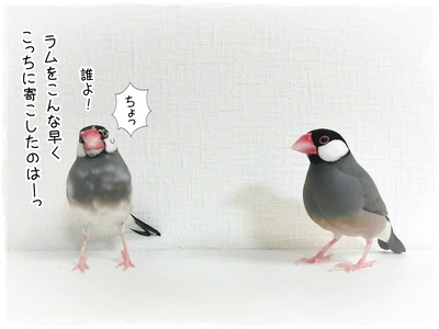 CIMG9821