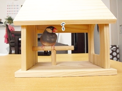 ブンチョ日誌