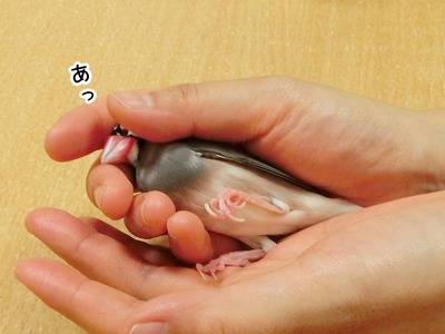 s-CIMG5738