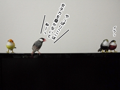 ブンチョ日誌