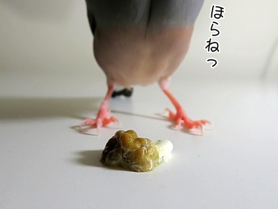 s-IMG_0158