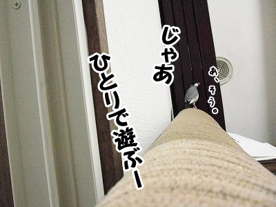 ブンチョ日誌