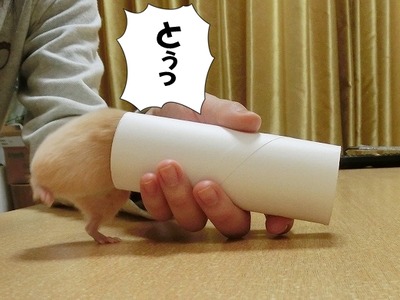 s-CIMG6476