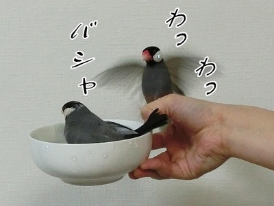 s-CIMG8854