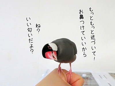 s-IMG_1952