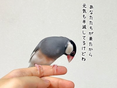 s-IMG_9553