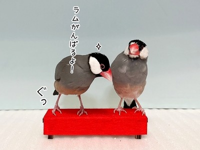 ４