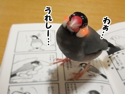 ブンチョ日誌