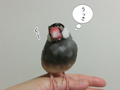 s-CIMG9875