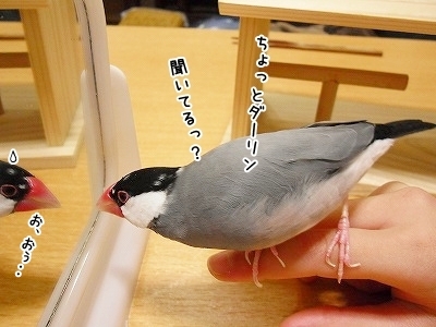 ブンチョ日誌