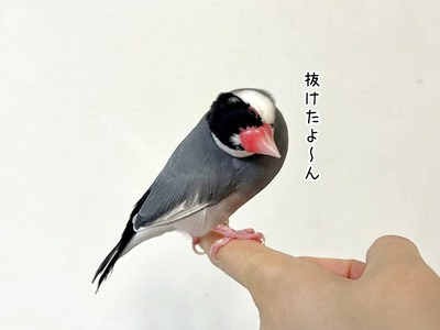 s-IMG_6076