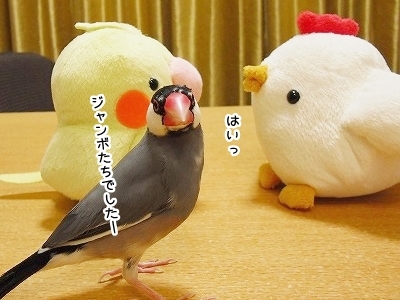 ブンチョ日誌