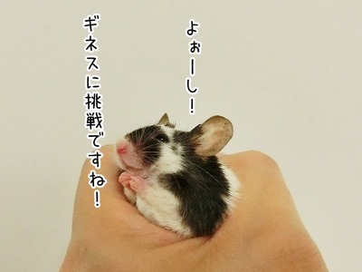s-CIMG7987