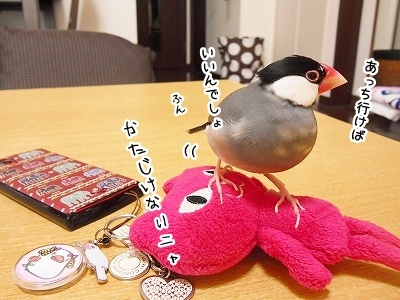 ブンチョ日誌
