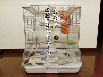 s-CIMG8282