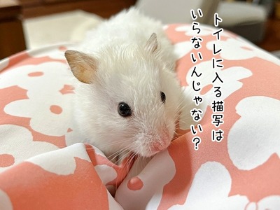s-IMG_3170