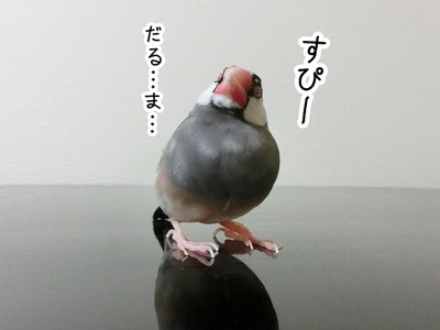 s-CIMG6200