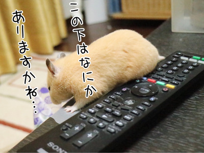 B1348A96-349F-40C6-B130-900CB52E6CAE