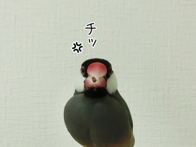 s-CIMG8876
