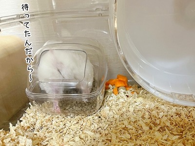 s-IMG_2237