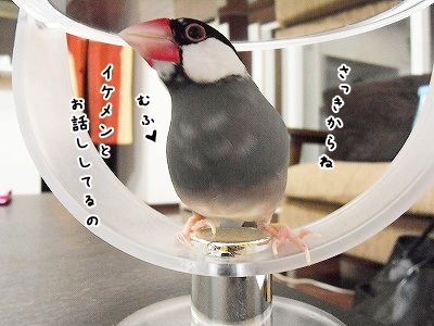 ブンチョ日誌